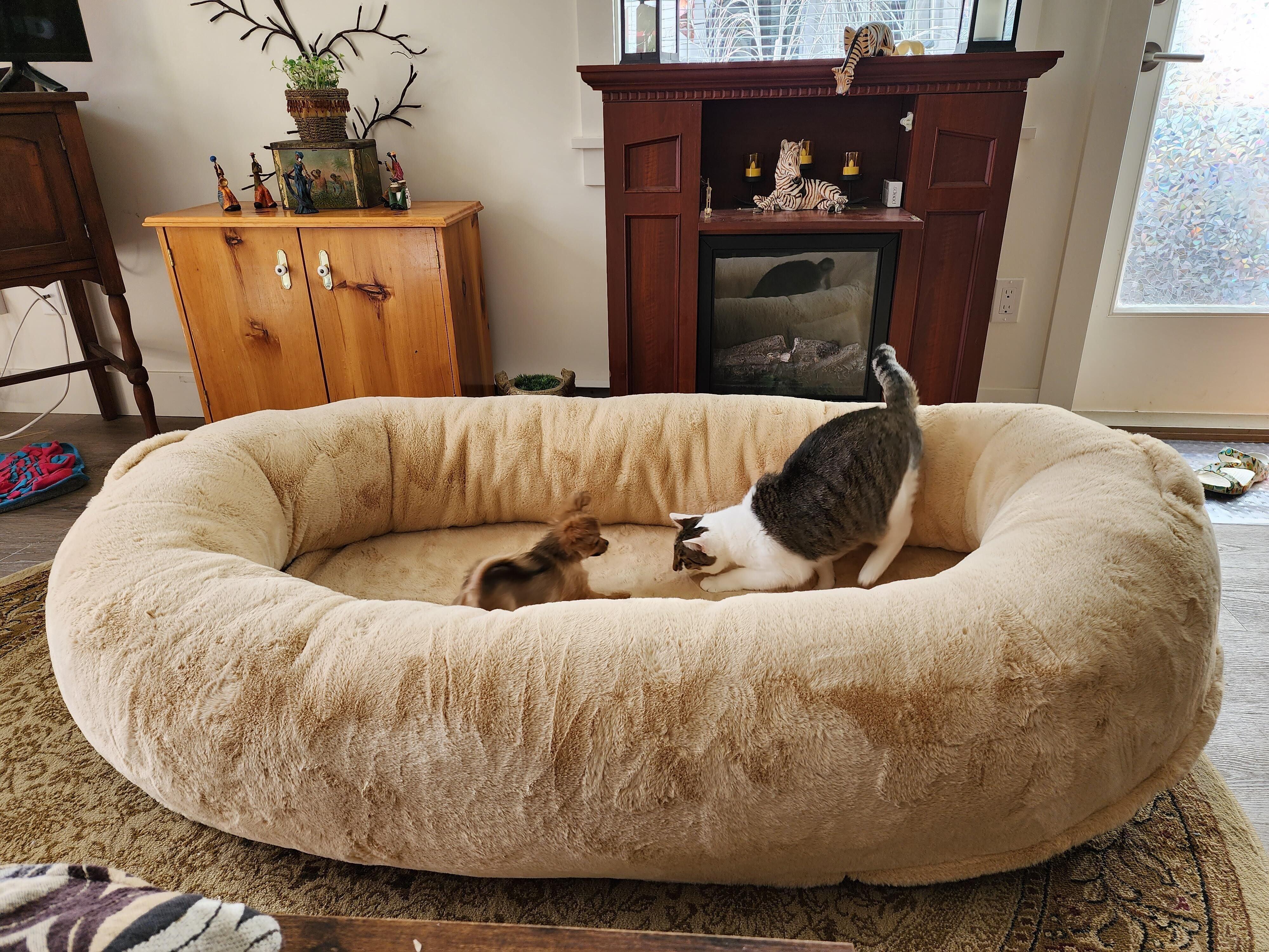 Why Calming Bed?