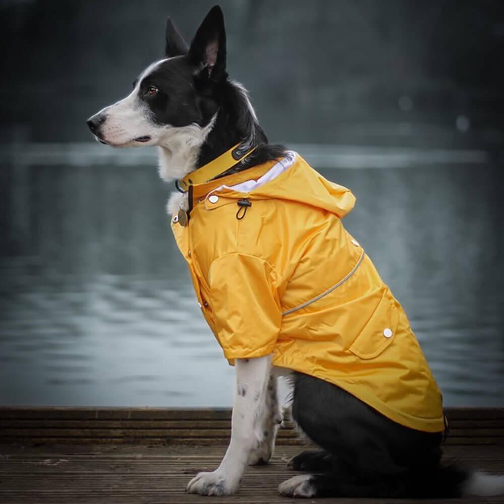 WHY USE A DOG RAINCOAT?