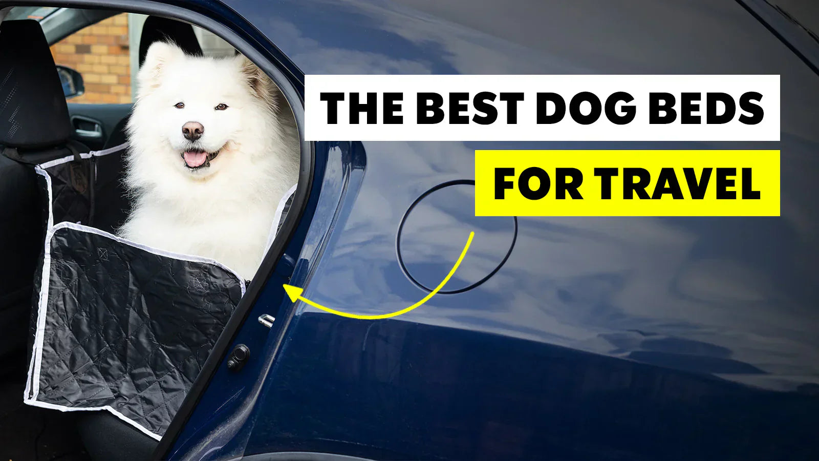 Ultimate Guide to Choose Best Car Dog Bed for Comfort Travel