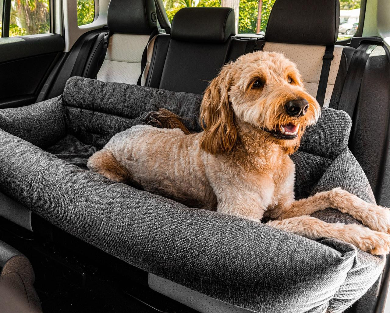 How to Pick the Perfect Dog Car Bed for Your Next Adventure