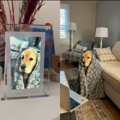 Memory Digital Frame - topspet