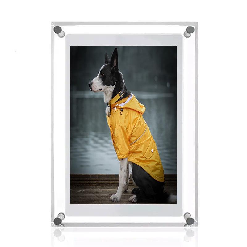 Memory Digital Frame - topspet