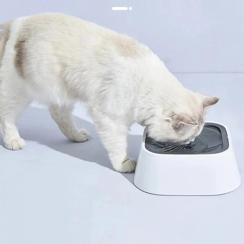 Anti-splash Bowl - topspet