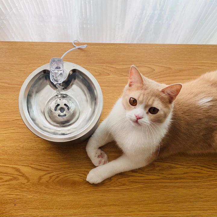 Stainless Steel Automatic Cats Healthy Water Fountain - topspet