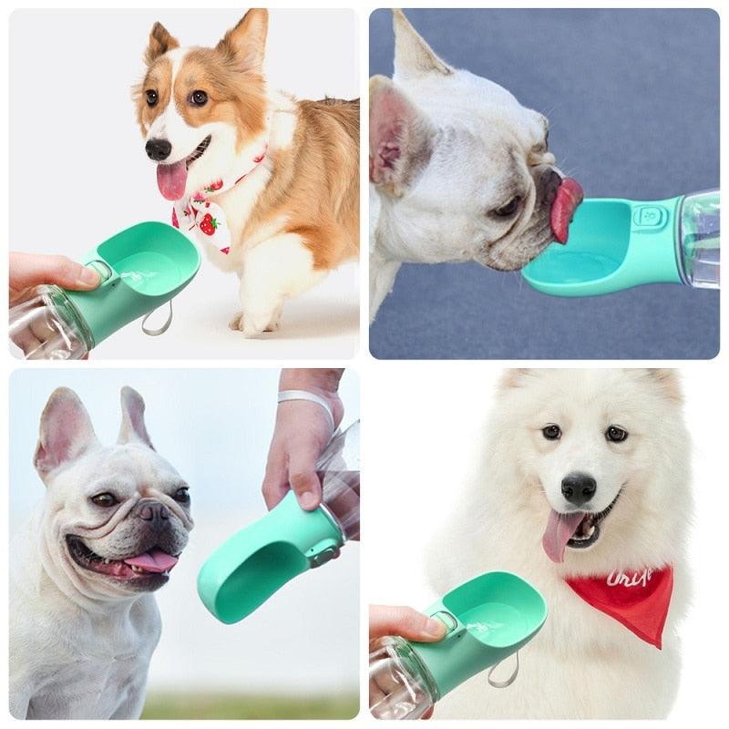 Travel Pet Bottle - topspet