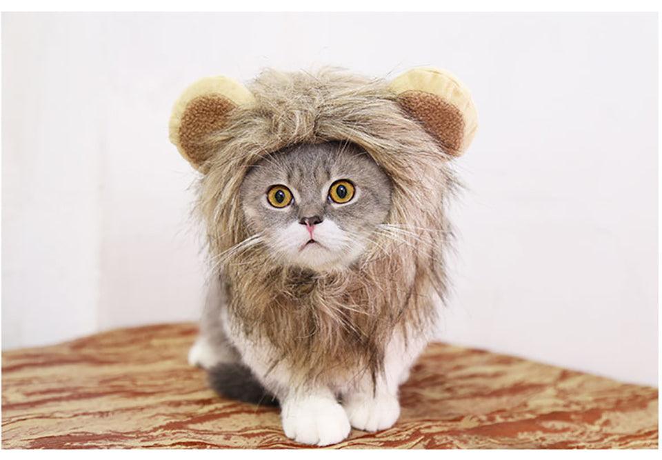 Cute Lion Mane Cat Costume - topspet