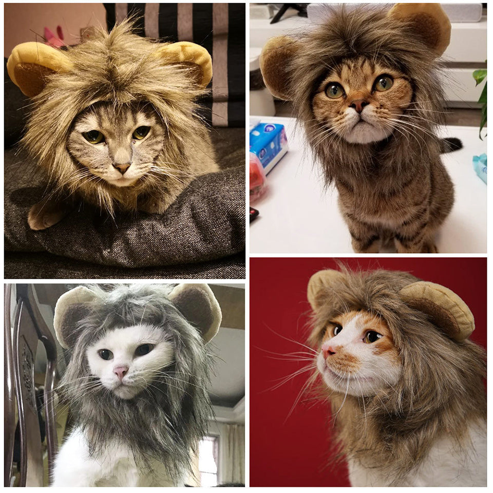 Cute Lion Mane Cat Costume - topspet