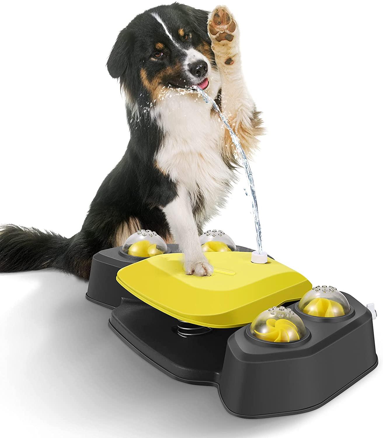 Automatic Outdoor Dog Water Fountain - topspet