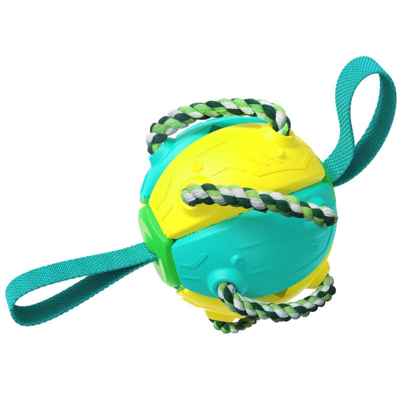 Interactive Dog Toy Magic Ball