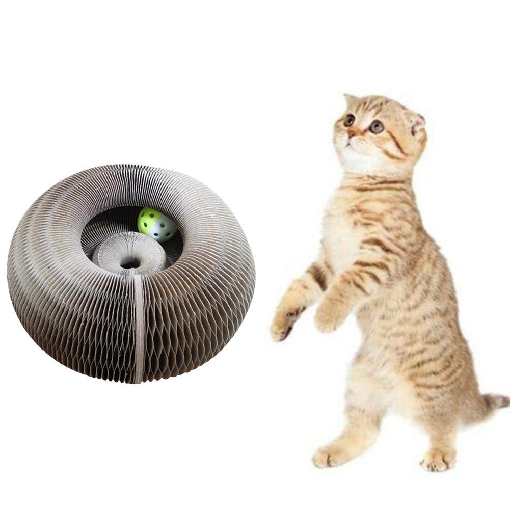 Magic Organ Cat Scratching Board - topspet