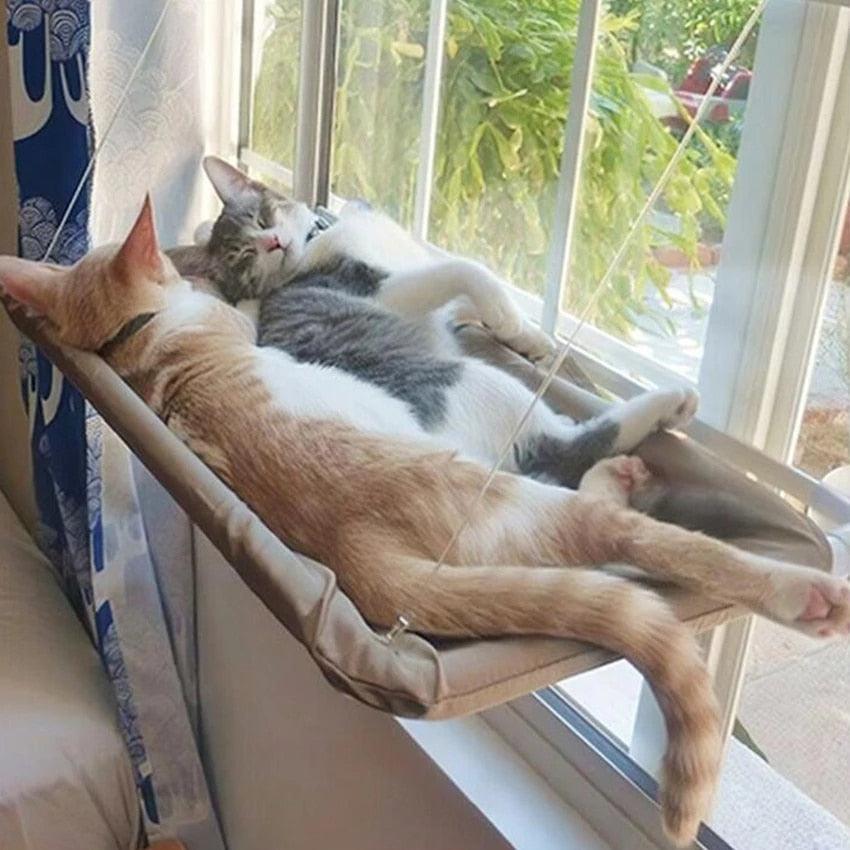 Cat Window Hammock - topspet