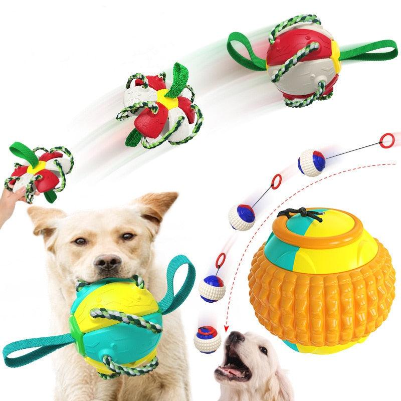 Interactive Dog Toy Magic Ball - topspet
