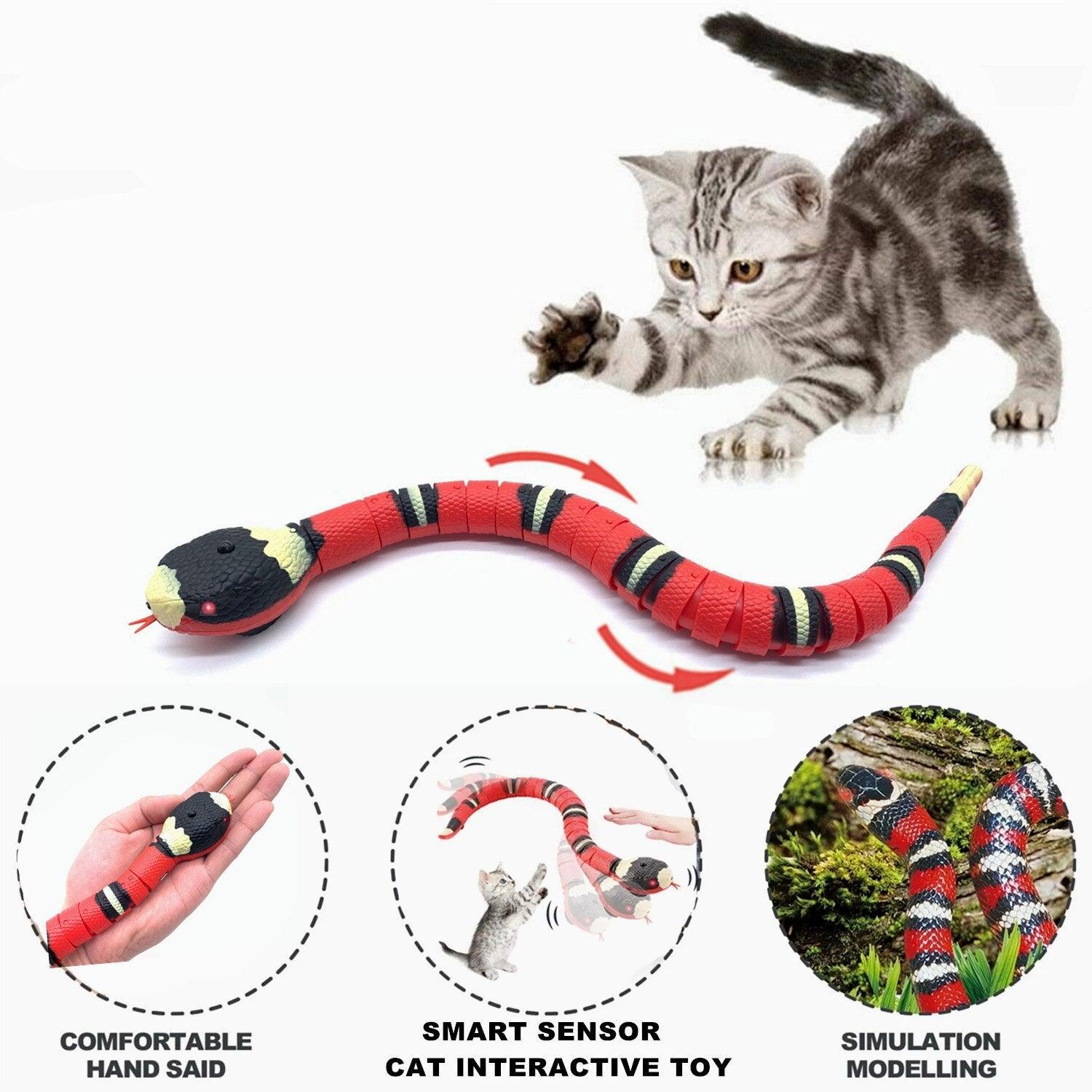 Interactive Cat Toy - topspet