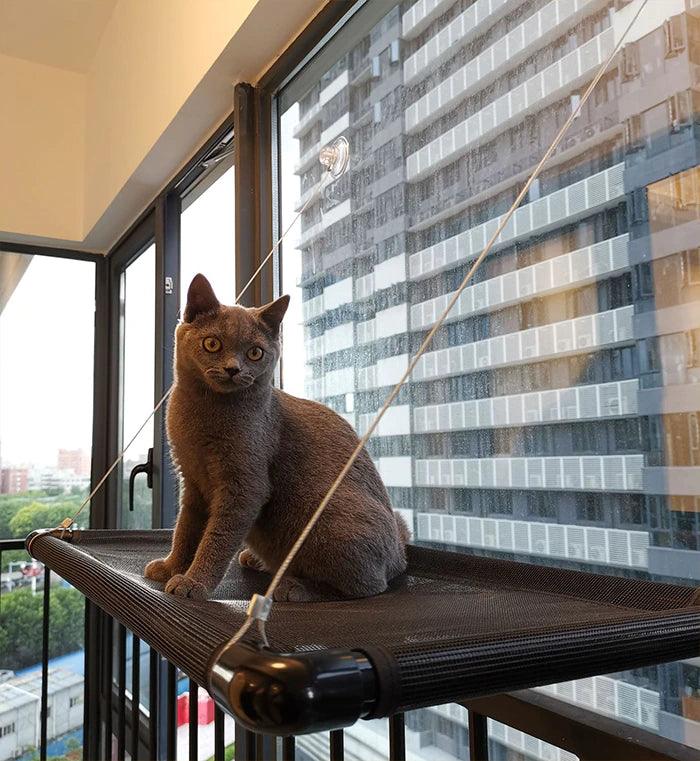 Cat Window Hammock - topspet