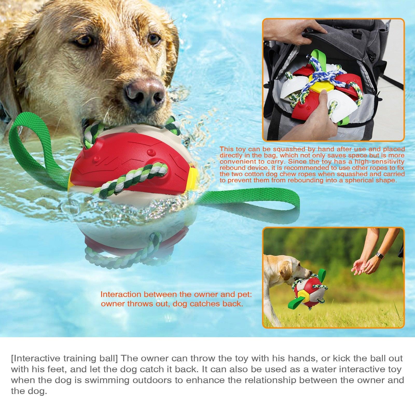 Interactive Dog Toy Magic Ball - topspet