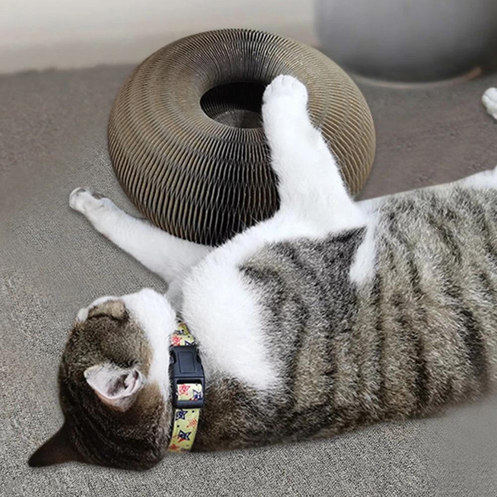 Magic Organ Cat Scratching Board - topspet