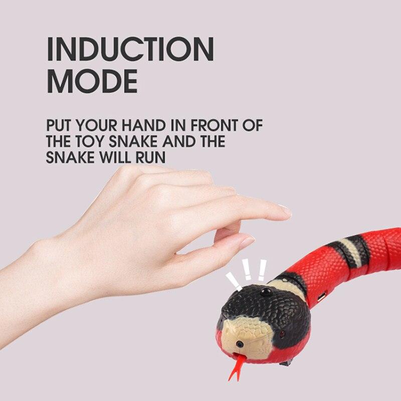 Interactive Cat Toy - topspet