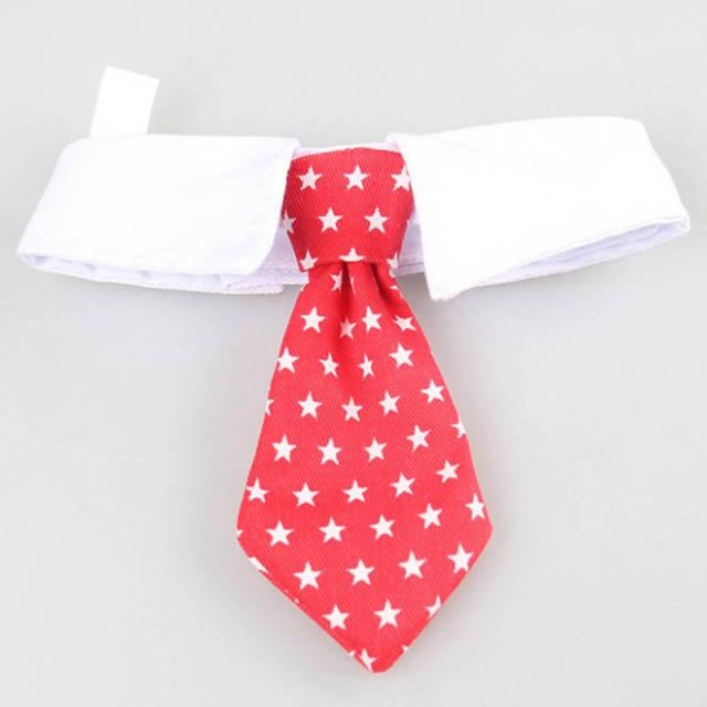 Cat Costume Clip Tie - topspet
