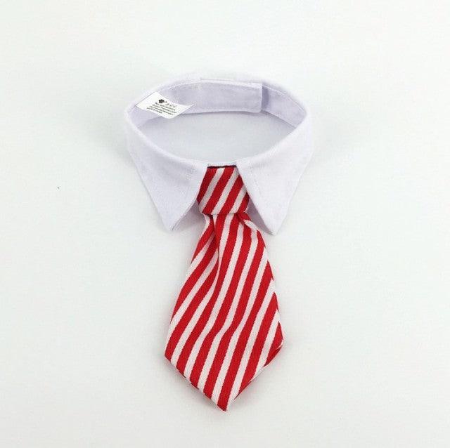 Cat Costume Clip Tie - topspet