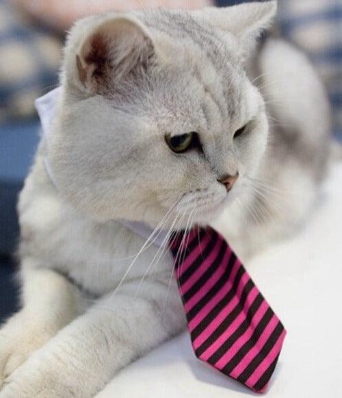 Cat Costume Clip Tie - topspet