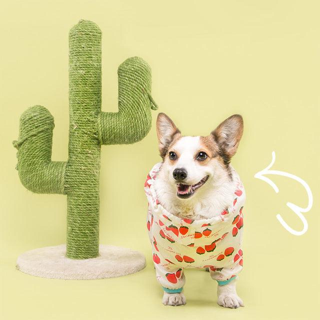 Jumpsuit Style Dog Raincoat - topspet