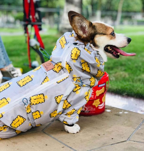 Jumpsuit Style Dog Raincoat - topspet