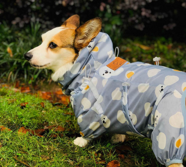 Jumpsuit Style Dog Raincoat - topspet