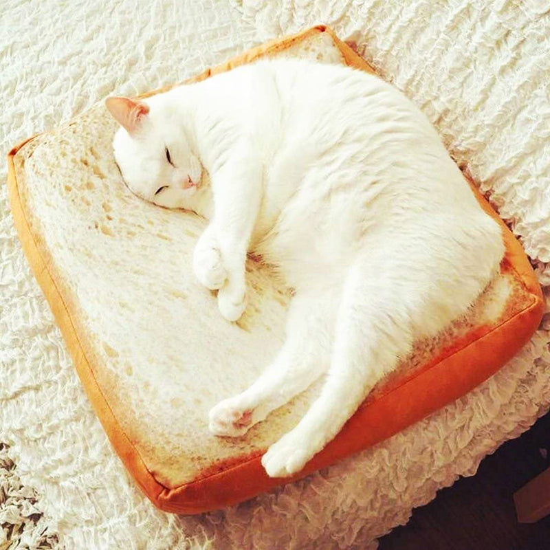 Soft Toast Cat Sofa Bed - topspet