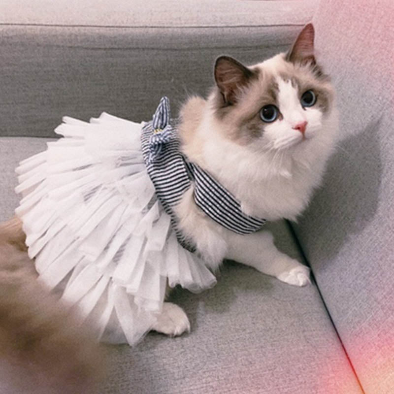 Cat one-piece dress - topspet