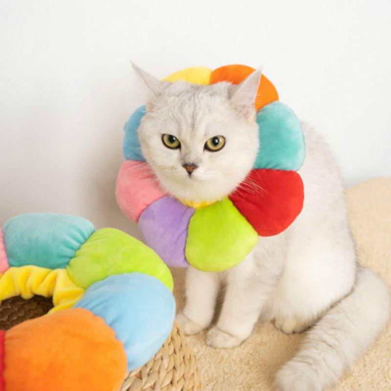 Cat Elizabeth Follow Circle Collar - topspet