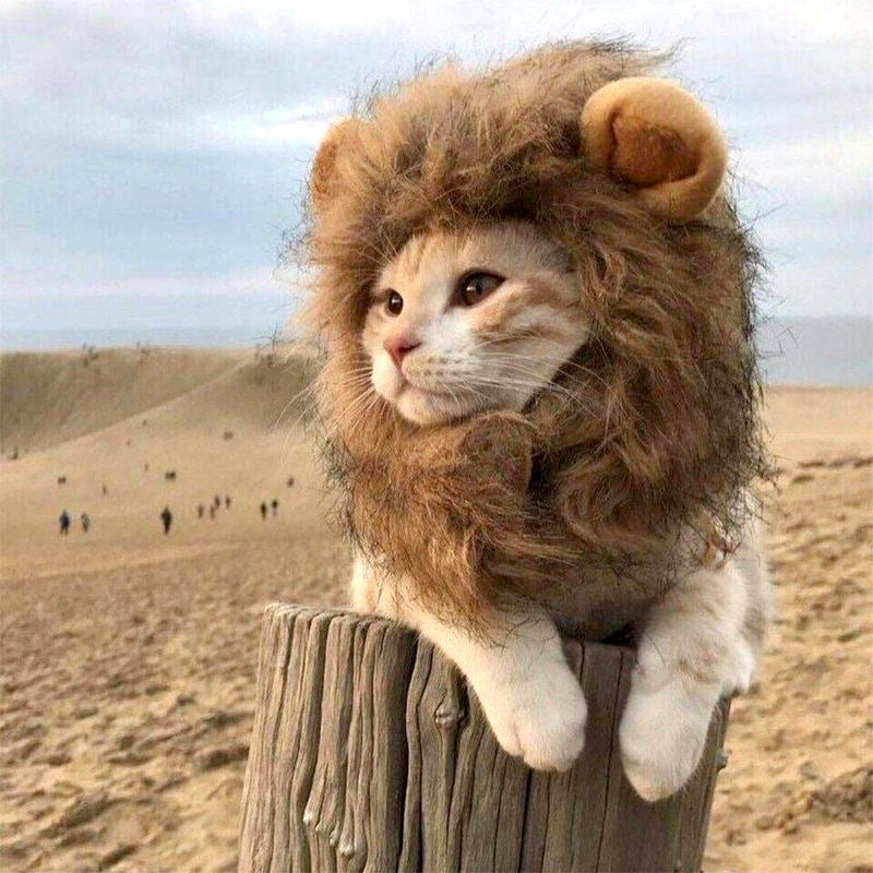 Cute Lion Mane Cat Costume - topspet