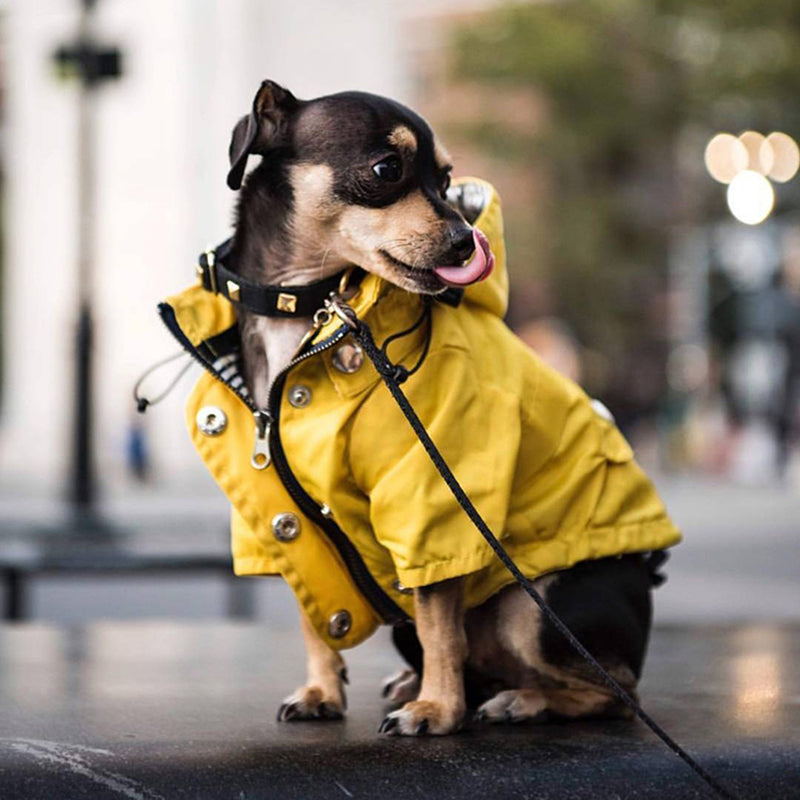 Waterproof Puppy Raincoat - topspet