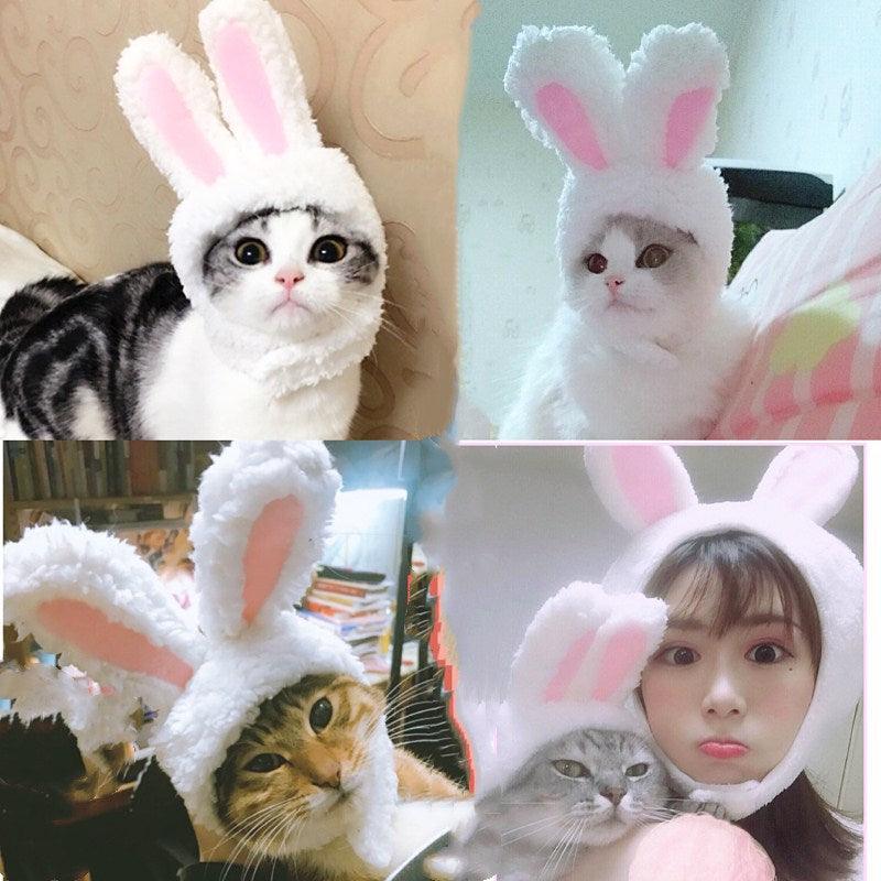 Pet Role-playing Cat Headgear - topspet