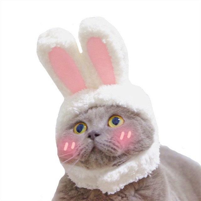 Pet Role-playing Cat Headgear - topspet