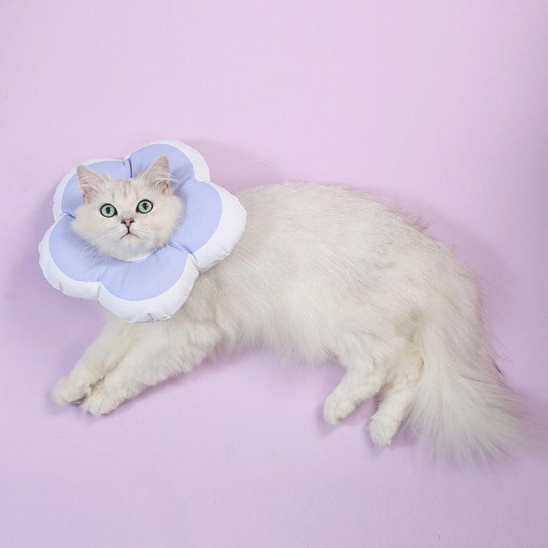 Cat Elizabeth Circle Flower Shape Cotton Collar - topspet