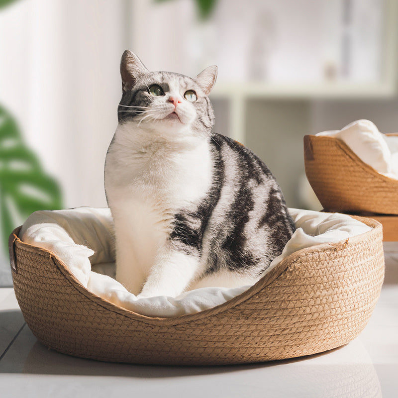 Cat Bamboo Sofa Bed - topspet