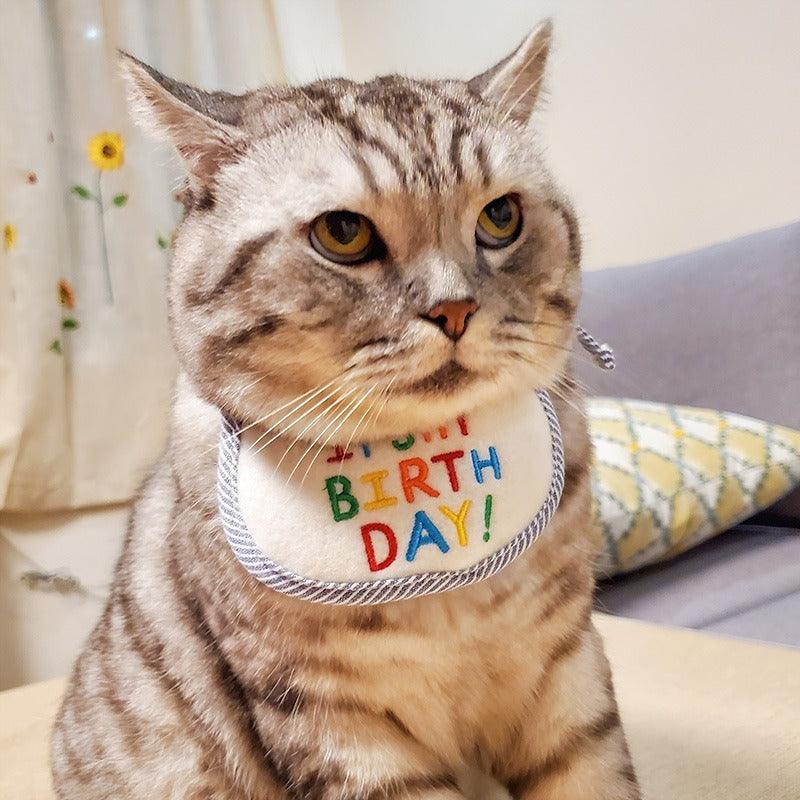 Cat Holiday Birthday Bib - topspet
