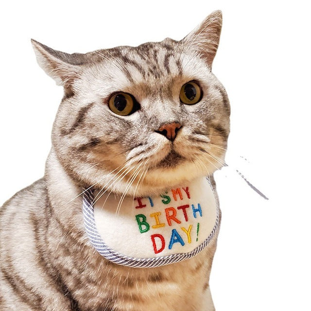 Cat Holiday Birthday Bib - topspet