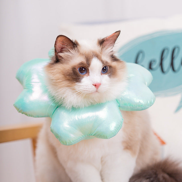 Fashion Anti-Bite Cat Collar - topspet
