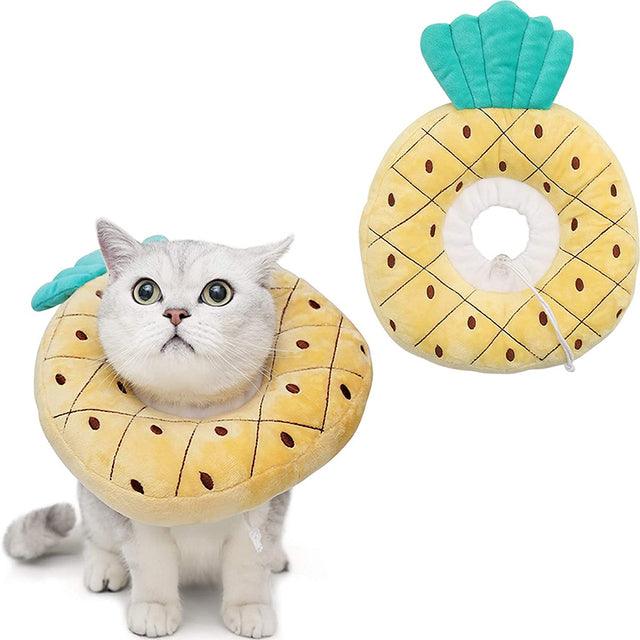 Cat Fruit Elizabeth Cone - topspet