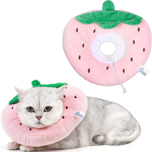 Cat Fruit Elizabeth Cone - topspet