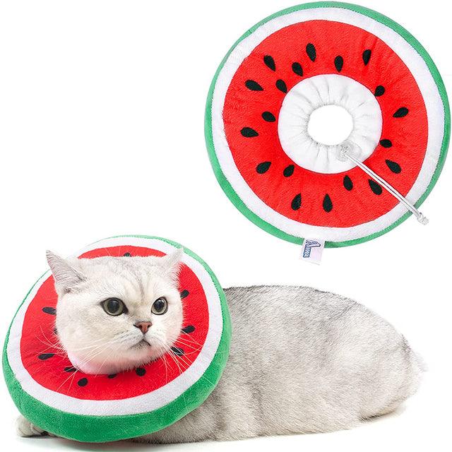 Cat Fruit Elizabeth Cone - topspet