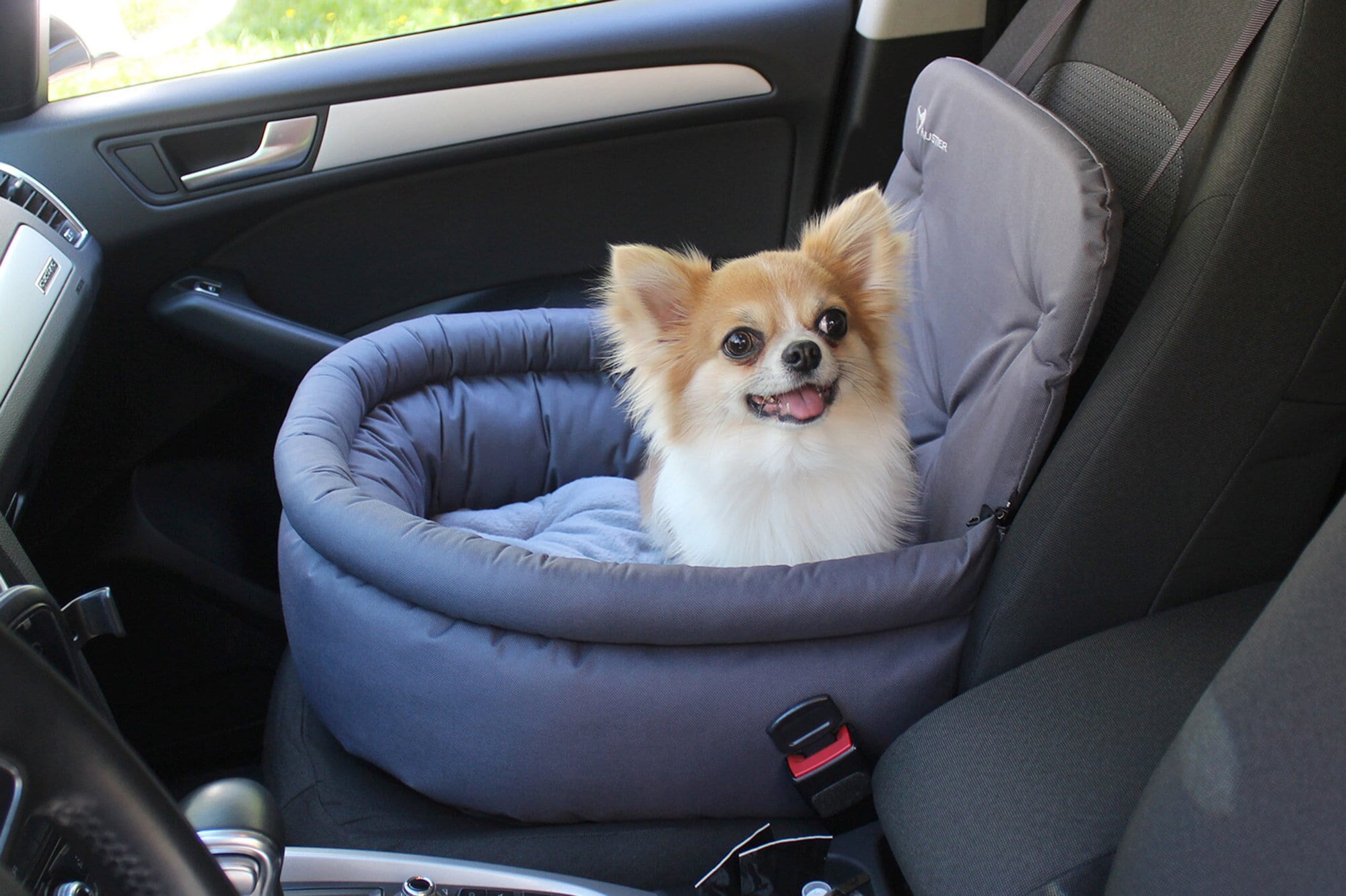 Cruising in Comfort: Discover Perfect Dog Bed for Your Car