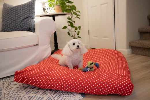 Essential Guide to Choosing the Perfect Dog Bed Sheets for Comfort and Protection