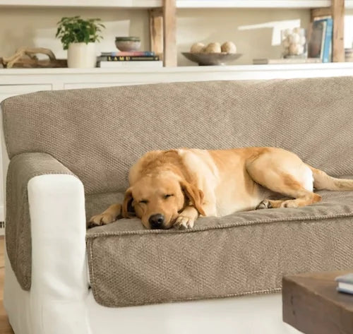 How to Choose A Perfect Dog Resistant Couch Covers for Home