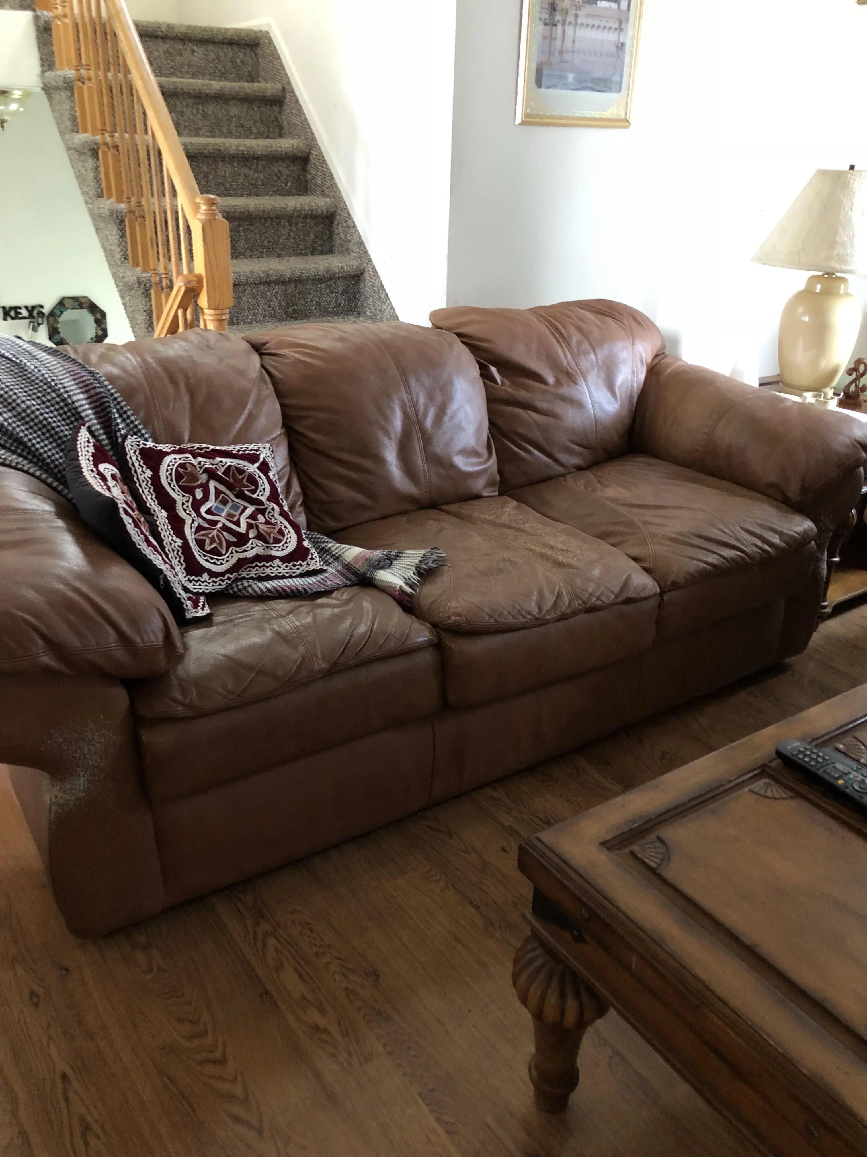 Why Leather Couch Covers for Dogs Are the Best Choice