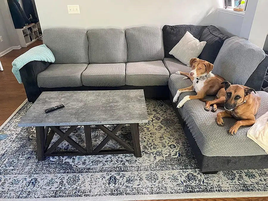 Why You Need a Dog Proof Couch Cover for Pet-Friendly Homes