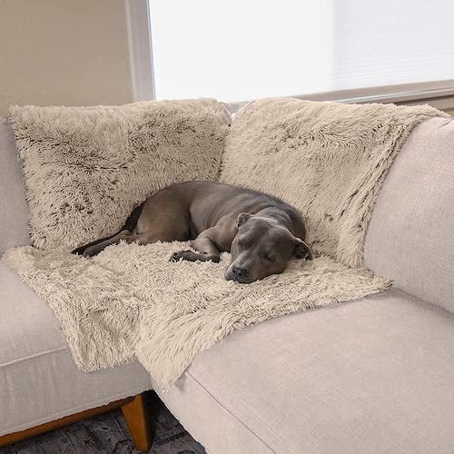 How to Choose the Perfect Dog Couch Cover sectional in 2025