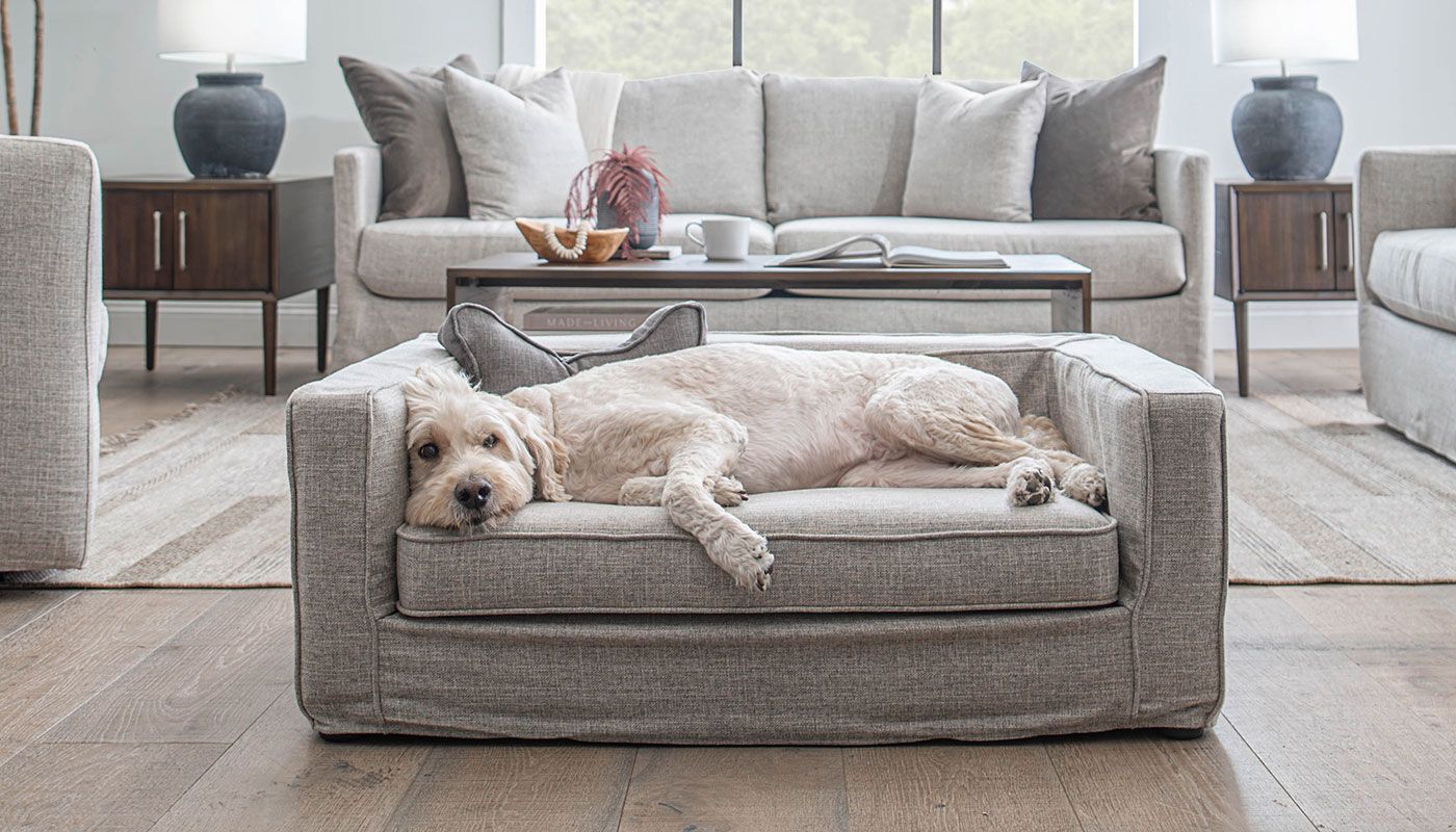 How to Choose Sofa Cover for Dogs in 2025: Comfort, Protection & Style