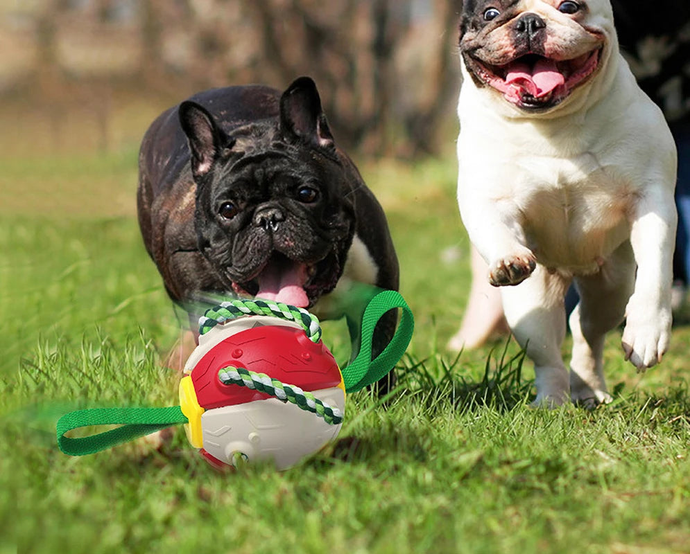 Interaktives Hundespielzeug, magischer Ball